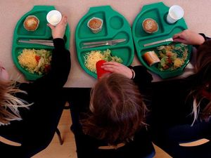 Supporting image for story: Children open to seeing insect-based meals on school dinner menu, study suggests