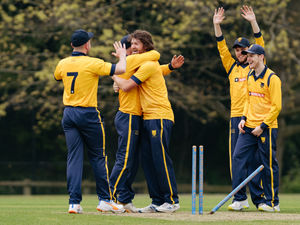 Supporting image for story: Shropshire host
Worcestershire
in summer showcase