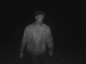 Supporting image for story: CCTV appeal after stolen goat slaughtered 