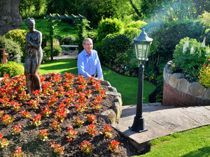Supporting image for story: Help our town of flowers maintain blooming marvellous status