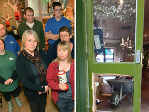 Supporting image for story: Christmas rescued after cruel burglary at special needs plant nursery