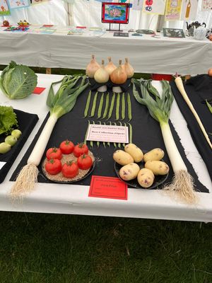 Some of the prize winning produce entries