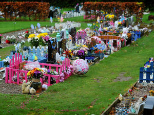 Supporting image for story: Wolverhampton cemetery baby grave thieves 'lowest of the low'