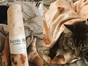 Supporting image for story: Social media has gone wild for this blanket that looks like a giant tortilla