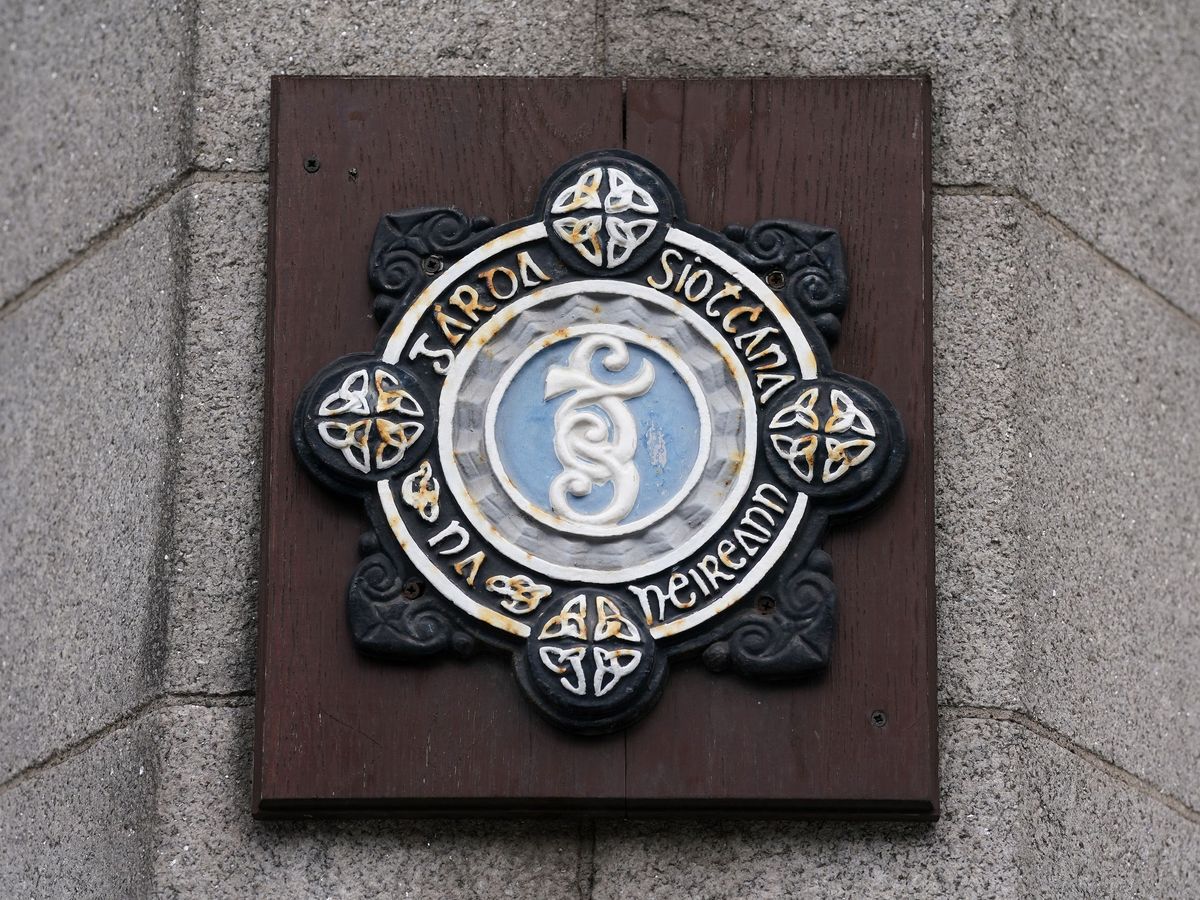 Attack on mosque in Galway was &lsquo;imminent&rsquo;, gardai tell court