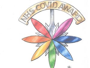 Supporting image for story: Rainbow NHS Covid medal idea for Shropshire health workers