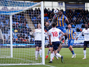 Supporting image for story: Analysis: Shrewsbury build their push up the league on solid ground