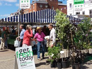 Supporting image for story: Ludlow's Local Produce Market celebrates 21 years trading 
