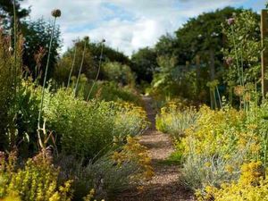Supporting image for story: Gardens opening to boost charities in South Shropshire