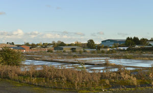 The site on Shrewsbury Road
