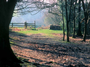 Supporting image for story: Oswestry energy park 'would mean 1,300 lorry trips'