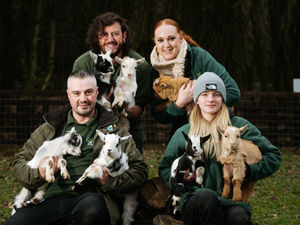 Supporting image for story: Plenty of kidding around for half term with 10 new arrivals at Telford's Exotic Zoo