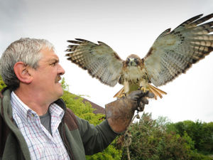 Supporting image for story: Wildlife bonanza in Staffordshire village