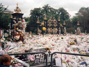 Supporting image for story: Floods of tears and a sea of flowers