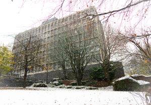 Snowy School of Art, Wolverhampton - Caron Malcolm