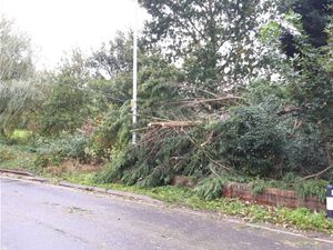 Supporting image for story: Storm Callum: Trees down and trains cancelled as Shropshire and Mid Wales take a battering