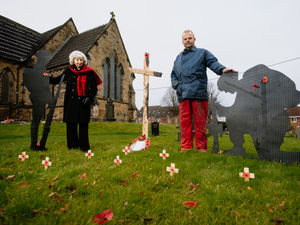 Supporting image for story: Poppies and soldiers on display at Telford church
