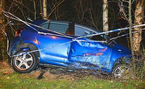 This car crashed into trees on the A518