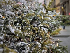 Supporting image for story: New Christmas lights on order to brighten up Shropshire town 