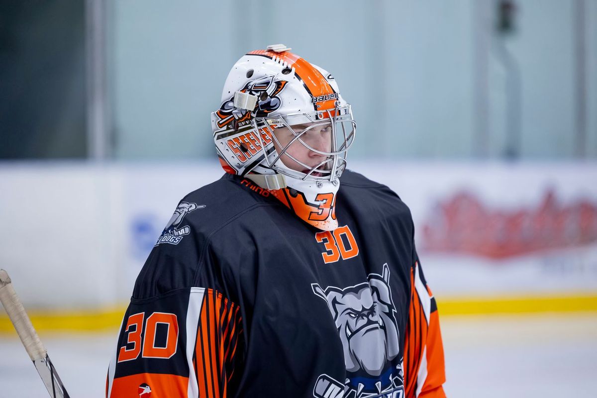 Tigers sign netminder prospect from league rivals