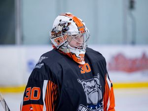 Supporting image for story: Tigers sign netminder prospect from league rivals