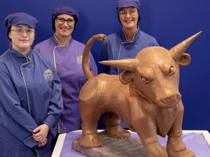 Supporting image for story: Incredi-bull! New Cadbury creation celebrates Birmingham icon
