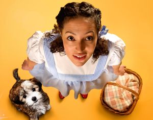 Supporting image for story