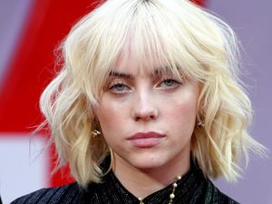 Supporting image for story: Billie Eilish requests restraining order against alleged home-invader