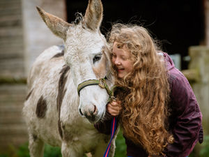 Supporting image for story: Mr Bump the blind donkey in walking challenge with Amanda