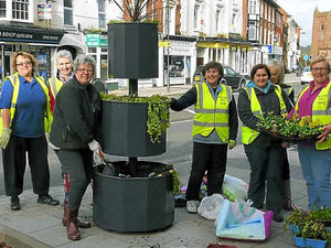Supporting image for story: Vandals rip up flowers planted in tubs dotted around Newport town centre