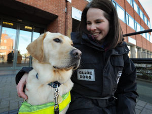 Supporting image for story: Sadness at death of Shrewsbury guide dog Kelsey 