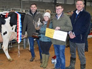 Supporting image for story: Huge turnout for Christmas Dairy Show and Sale in Shrewsbury 