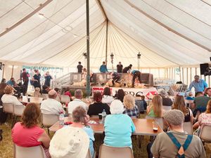 A tense sheep shearing competition at a previous Llanbadarn Fynydd Show