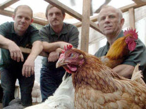 Supporting image for story: Bloxwich animal sanctuary needs new home
