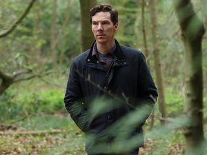 Supporting image for story