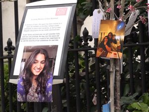 Supporting image for story: Van driver pleads guilty to killing university student in central London crash