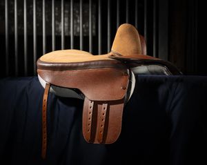 Kate's prize winning saddle