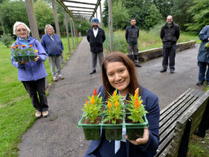 Supporting image for story: Wolverhampton park planting to swing into action