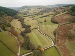 The new Lower Lye woodland from above. Picture: Forestry England. 
