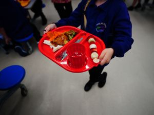 Supporting image for story: All primary pupils should receive free school lunches, say health experts