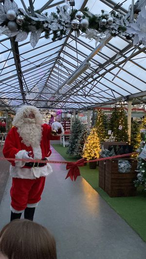 Christmas has arrived at Bridgnorth Garden Centre