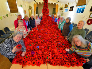 Supporting image for story: More than 3,000 poppies sewn together to create a waterfall-style war memorial 