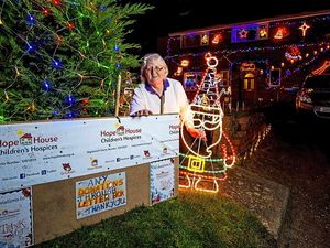 Supporting image for story: Dazzling Shawbury display for charity