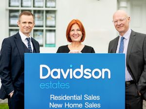 Supporting image for story: Davidson Estates complete Arkade deal 