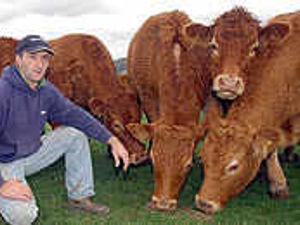 Supporting image for story: Vet's bovine TB fears