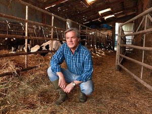 Supporting image for story