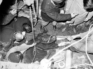 February 20, 1975: 'A large operation was mounted by firemen to rescue a heifer trapped in a 12ft deep well on an Ellesmere farm. The roof of a building had to be dismantled and special lifting tackle taken from Shrewsbury before the heifer was freed two hours after falling in the well. The accident happened at Mr Roger Hampson's Tetchill Farm yesterday. The heifer was being treated by a vet when it ran into a tool house.'