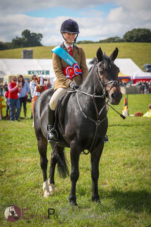 A horse show winner from last year's Kington Show