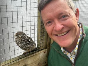 Supporting image for story: Black Country vets in hot weather advice to pet owners