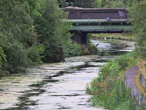 Supporting image for story: Part of Walsall canal path set to reopen to public two months after chemical spill